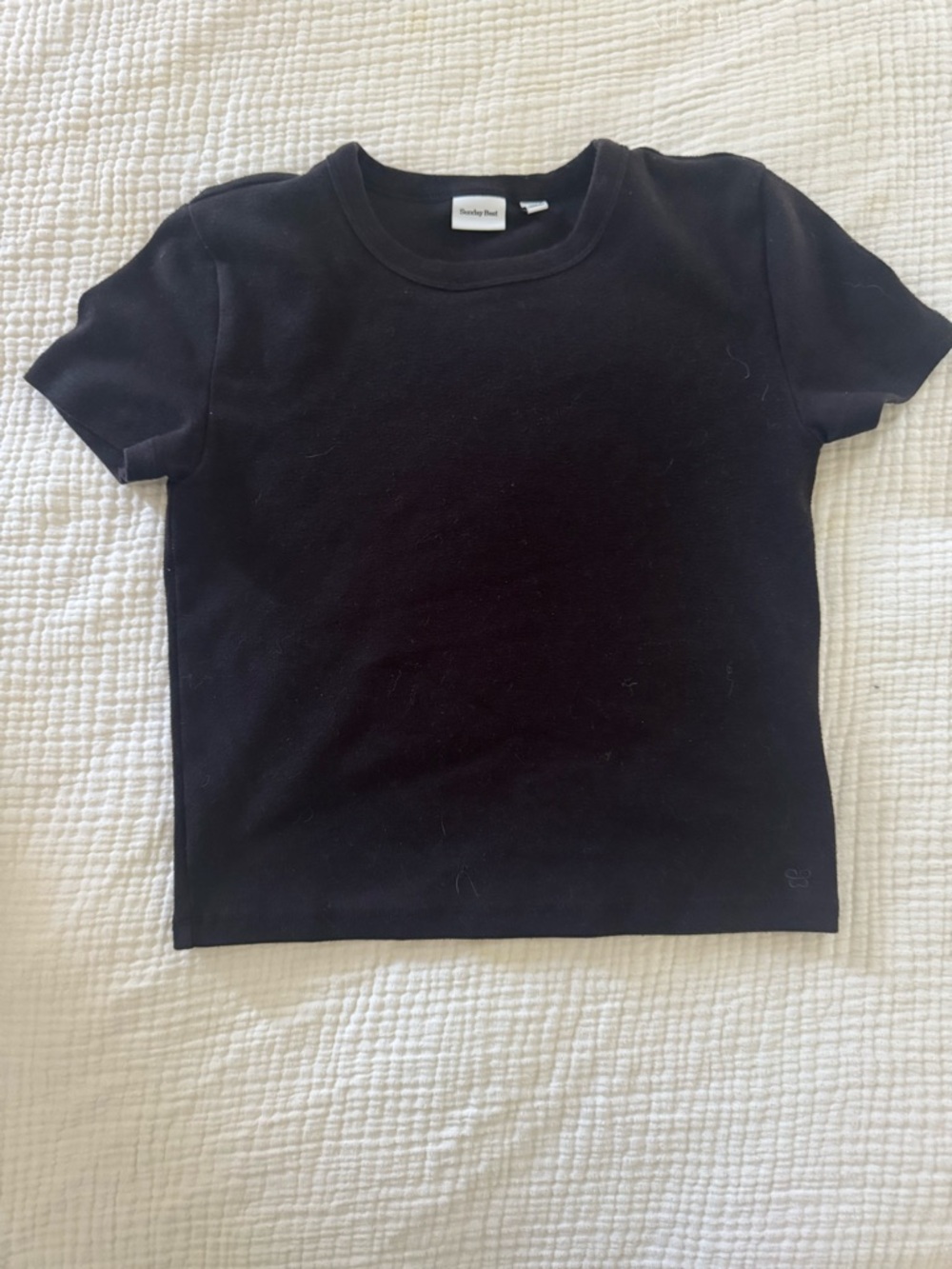 Aritzia Sunday Best BestHug™ Little Ribbed T-Shirt